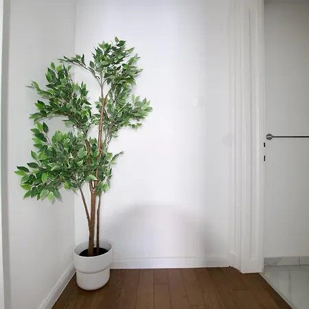 Premium By Hi5- Jozsef Koerut